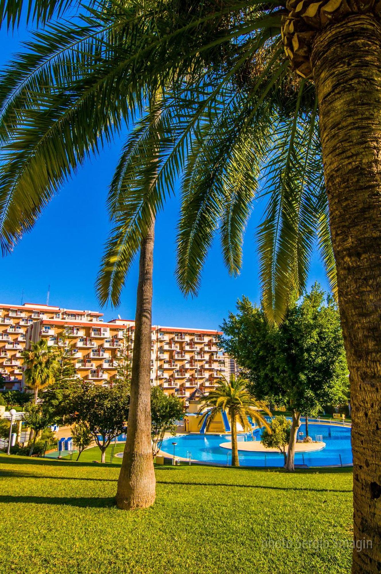 525 Minerva Vista Al Mar Y Al Jardin Y La Montana Appartement