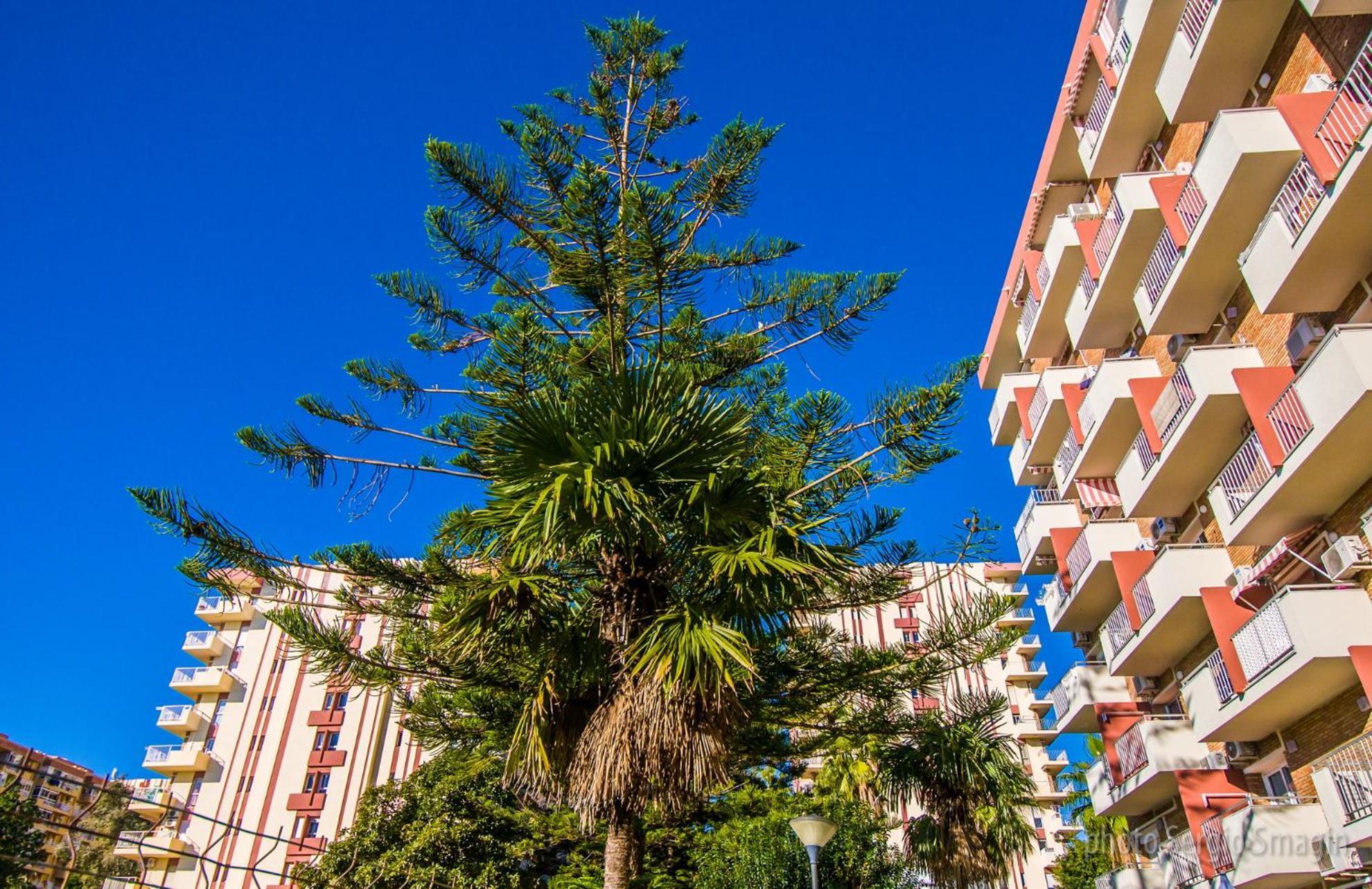 525 Minerva Vista Al Mar Y Al Jardin Y La Montana Apartment Benalmadena